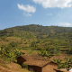 Café rwanda gatare - titus - image 3