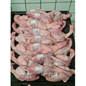 Lot de 12 cailles prêtes à cuire