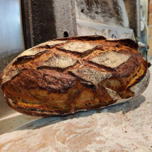 Pain de blé complet dur bio