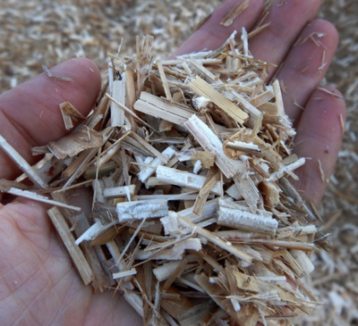 Miscanthus paillage de massifs