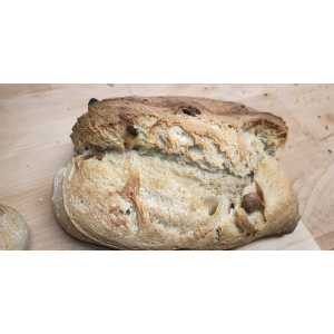 Pain abricot - noisette