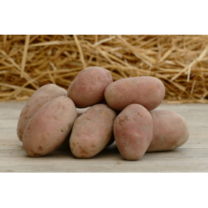 Pommes de terre toutes recettes 20kg