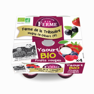 Yaourt brassé fr.rouges fermier et bio 4x125g