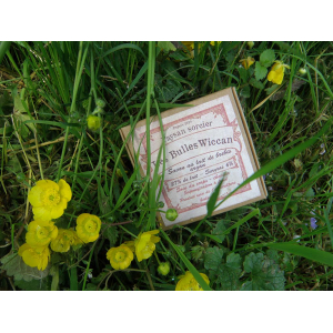 Savon au lait de brebis argan