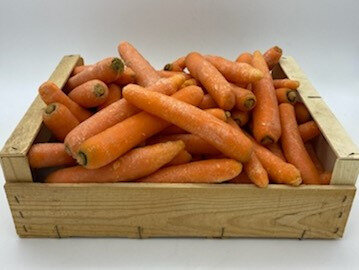 Carottes vrac bio