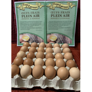 Plaquette de 30 œufs taille moyen