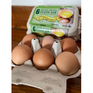 Boite de 6 œufs taille large