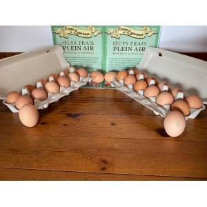 Boite de 24 œufs taille large