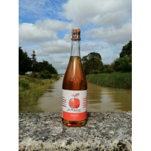 Jus de pomme artisanal qui pétille