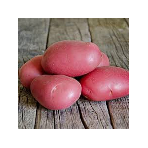 Pomme de terre grenaille dalida