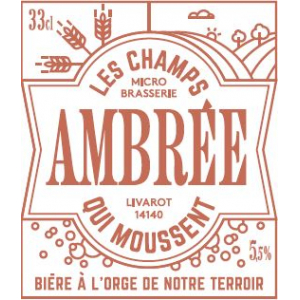 Bière artisanale bio - ambrée 75cl