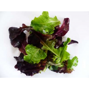 Salade melangée