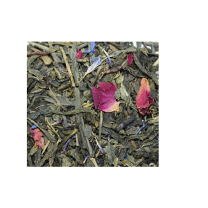 Les jardins de majorelle