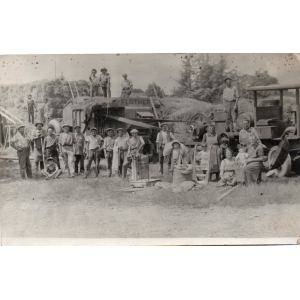 Bière blonde saison la dame de malt