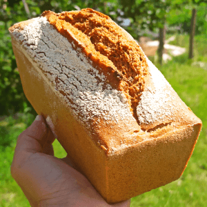 Pain petit épeautre