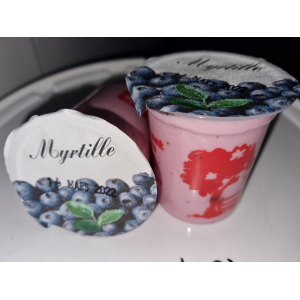 Yaourt à l'unité brassé aux myrtilles 🫐