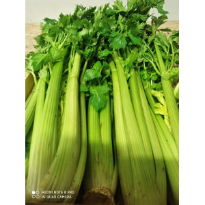 Cèleri branche - 500g