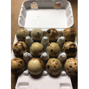 Oeufs de cailles boite de 12