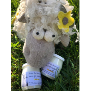 Yaourts de brebis aromatisés citron