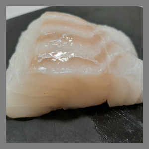 Dos de cabillaud frais