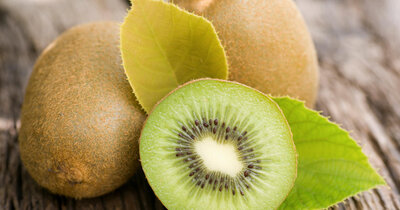 Kiwi vert lot de 3