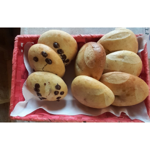 Pogne ou pogne chocolat