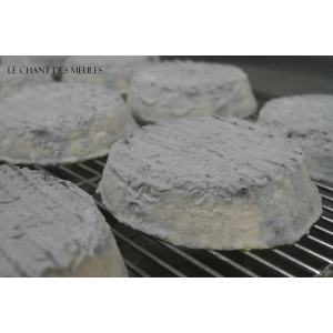 Le béret de bézu (demi affiné) au lait cru