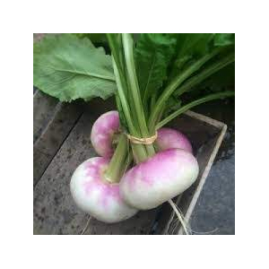 Navets nouveaux botte de 5 (600/700g)