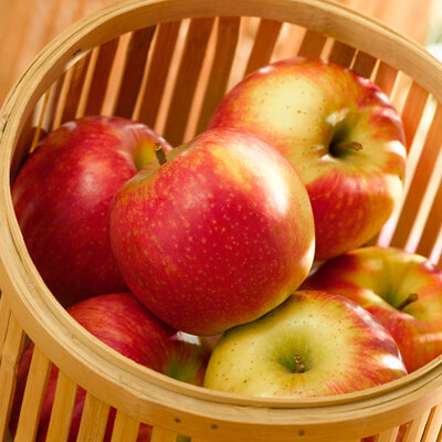 Pomme jubilé