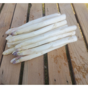Asperge des sables blanche et violette