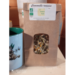 Camomille romaine
