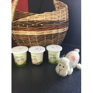 Yaourt fermier de brebis sur lit de rhubarbe