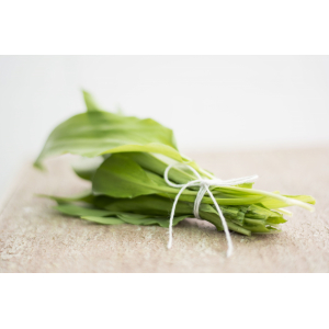 Ail des ours - bouquet