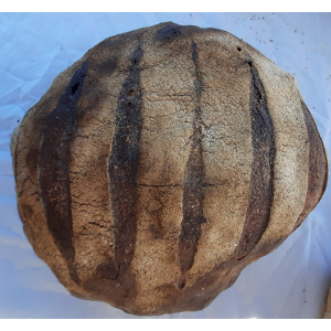 Pain rustique bio 1kg