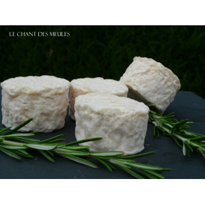 Lot de 2 crottins demi-affiné au lait cru