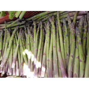 Asperge verte