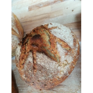 Pain au tournesol tranché