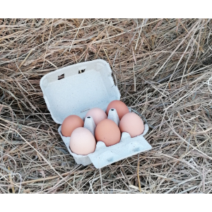 6 œufs de poules bio et plein air