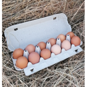 12 œufs de poules bio et plein air