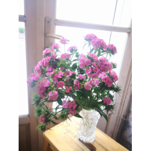 Bouquet d'oeillet de poéte