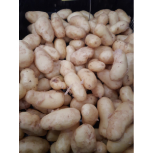 Pommes de terre nouvelle moy bf 15