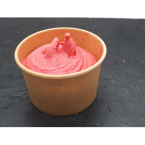 Sorbet plein fruit framboise - pot 10cl