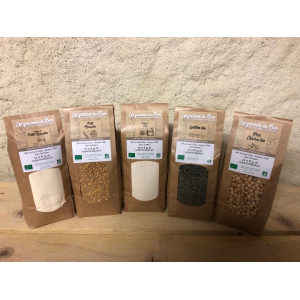 Graines de luzerne à germer