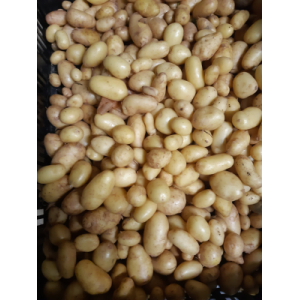 Pommes de terre nouvelle grenaille bf15