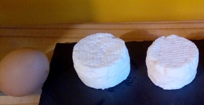 Début mi frais : 2 crottins de chèvre, bio