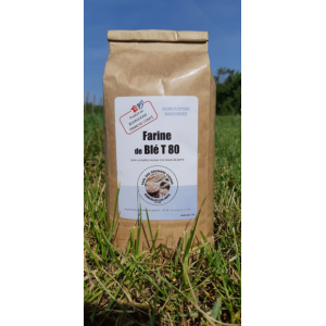 Farine de blé t80 / semi-complète