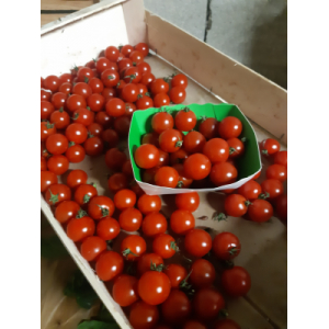 Tomate cerise