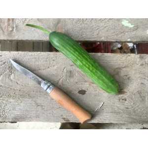 Concombre libanais pièce