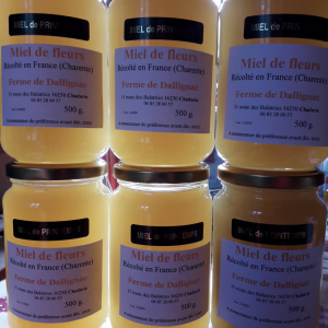 Miel de fleurs de printemps