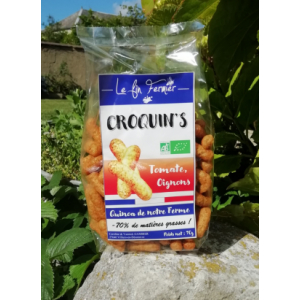 Croquin's tomate - oignons